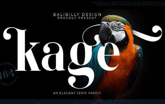 Kage Free Font Download